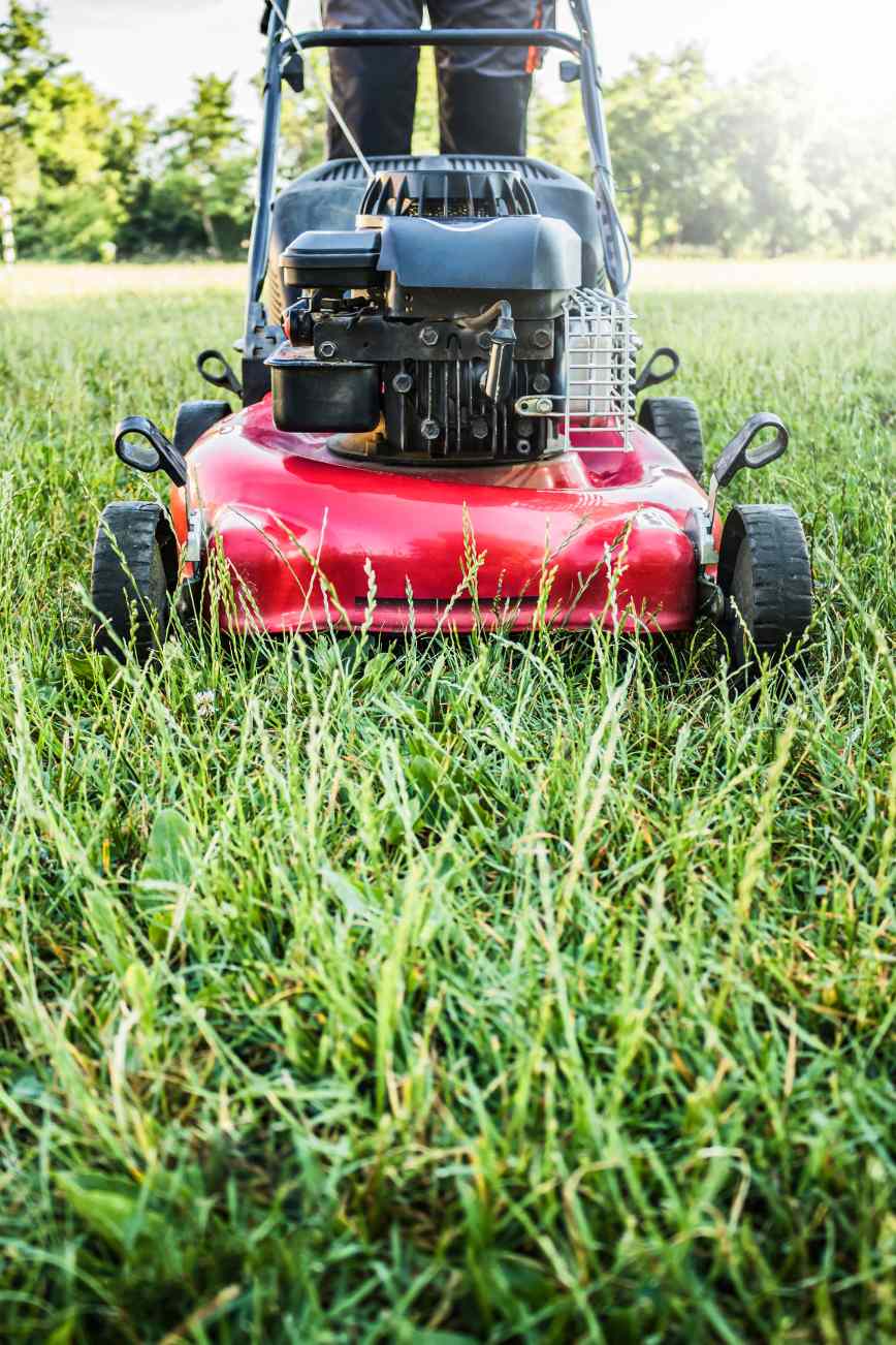 Why I’ll Always Love the Smell of Freshly Cut Grass