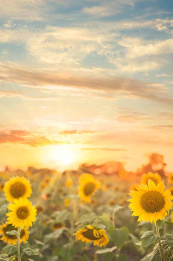 Commenting and Connecting in July: How to Earn Extra Entries in the Monthly Giveaway