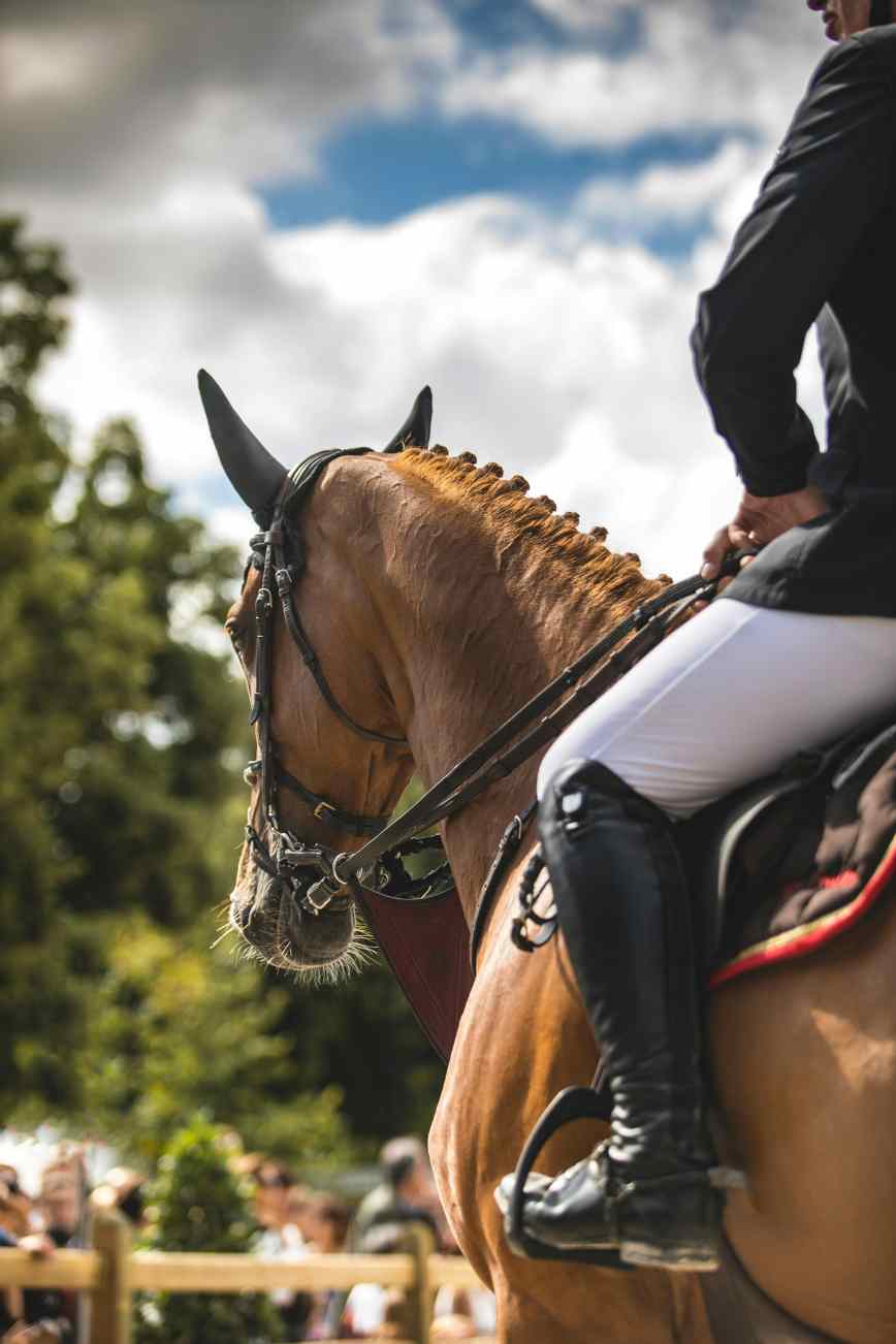 Luxury Hobbies That Exude Wealth