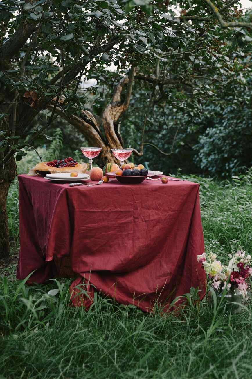 Picnic Flair with Elegant Red Table Cloths