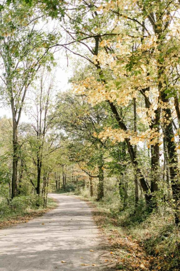 When Spring Doesn’t Feel Like a Fresh Start