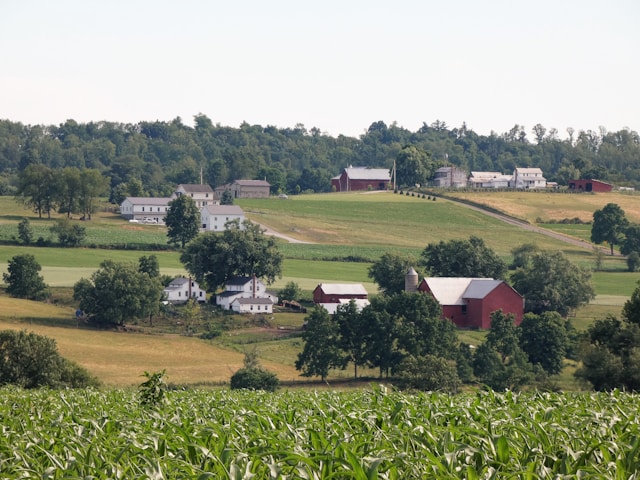 kimberly-means-jOKEF3TvwfA-unsplash