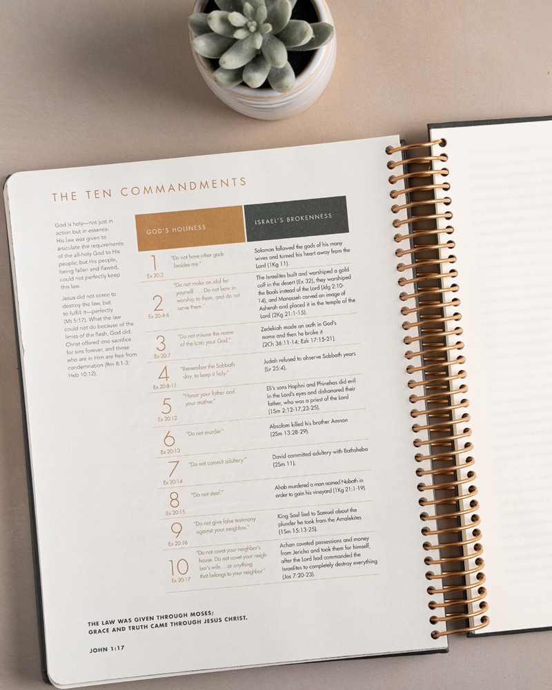 FY26- BR- 2999700- DIGITAL- 3P Momentum SRT Influencer Assets_4x5 - 2