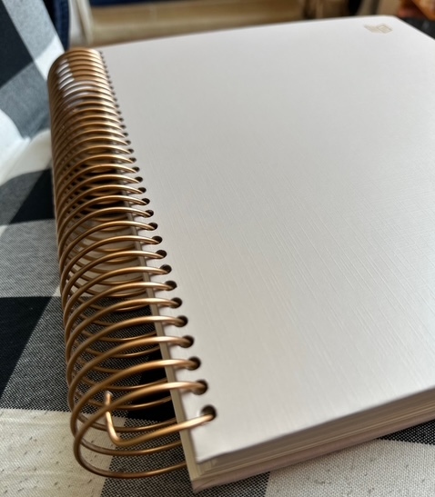 She Reads Truth New Testament coils