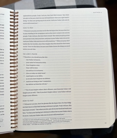 She Reads Truth New Testament pages