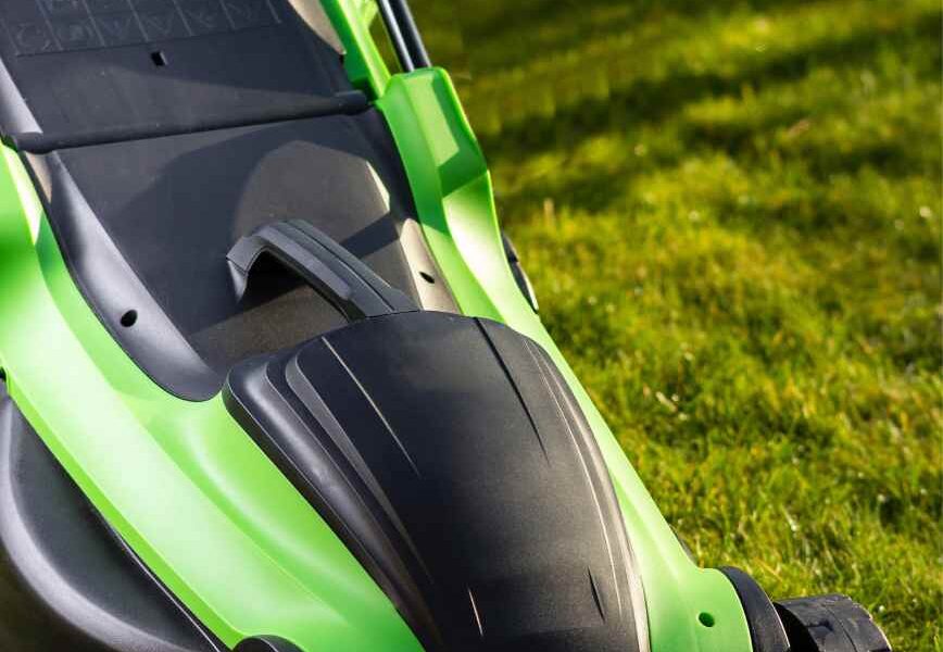 The Real Reason Your Yard Feels Messy Even After You Mow