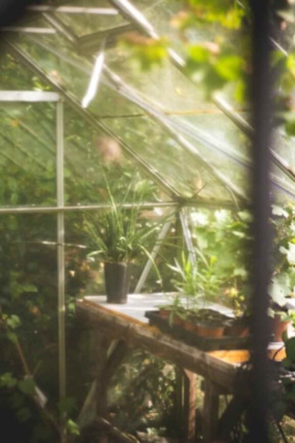 The Road to Transforming a Boring Backyard Into a Tranquil Retreat