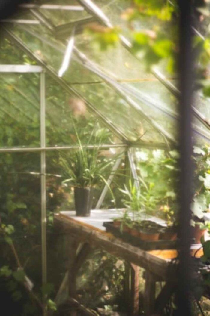 The Road to Transforming a Boring Backyard Into a Tranquil Retreat