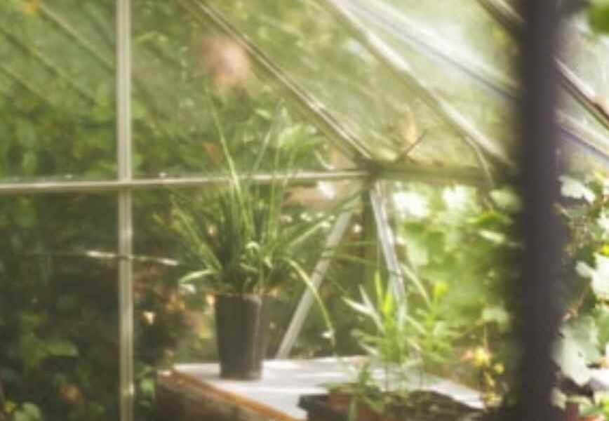 The Road to Transforming a Boring Backyard Into a Tranquil Retreat