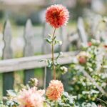 Finding Joy in Ordinary Summer Days