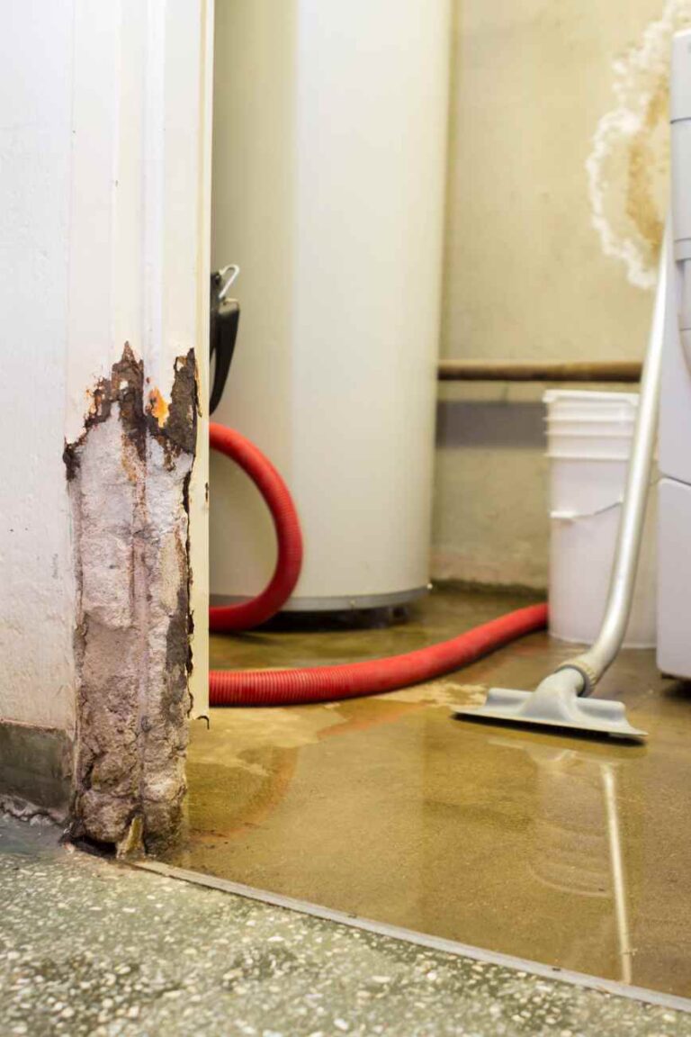 The Importance of Immediate Response to Water Damage: Protecting Your Home and Health