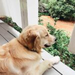 Let’s Sit on the Porch… I Have Something for You!