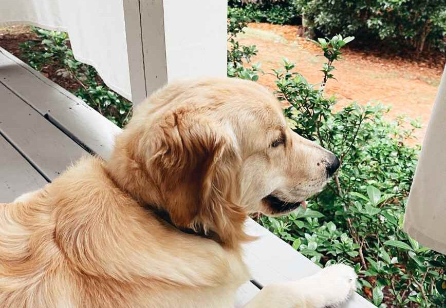 Let’s Sit on the Porch… I Have Something for You!