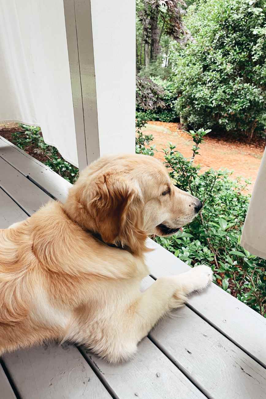 Let’s Sit on the Porch… I Have Something for You!