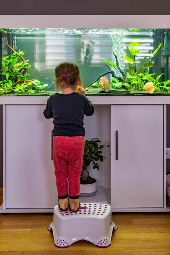 Professional packing for aquariums, terrariums, and similar items