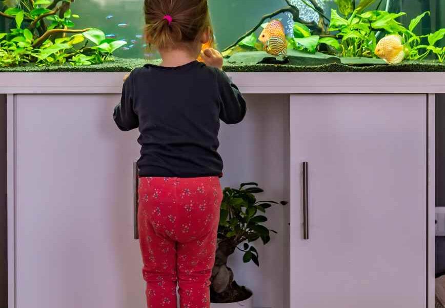 Professional packing for aquariums, terrariums, and similar items