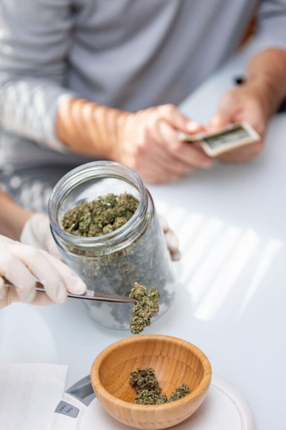 7 Cannabis Businesses And Resources That Support Galloway Township Consumers