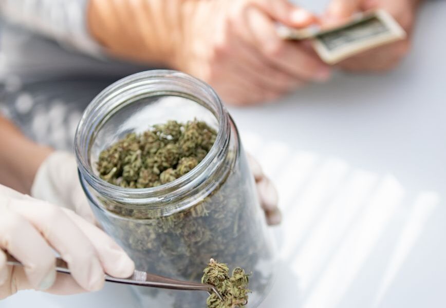 7 Cannabis Businesses And Resources That Support Galloway Township Consumers