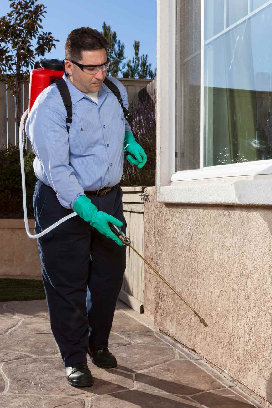 Get Lasting Pest Removal in Ocala With Soil Wizards: A Science-Driven Guide