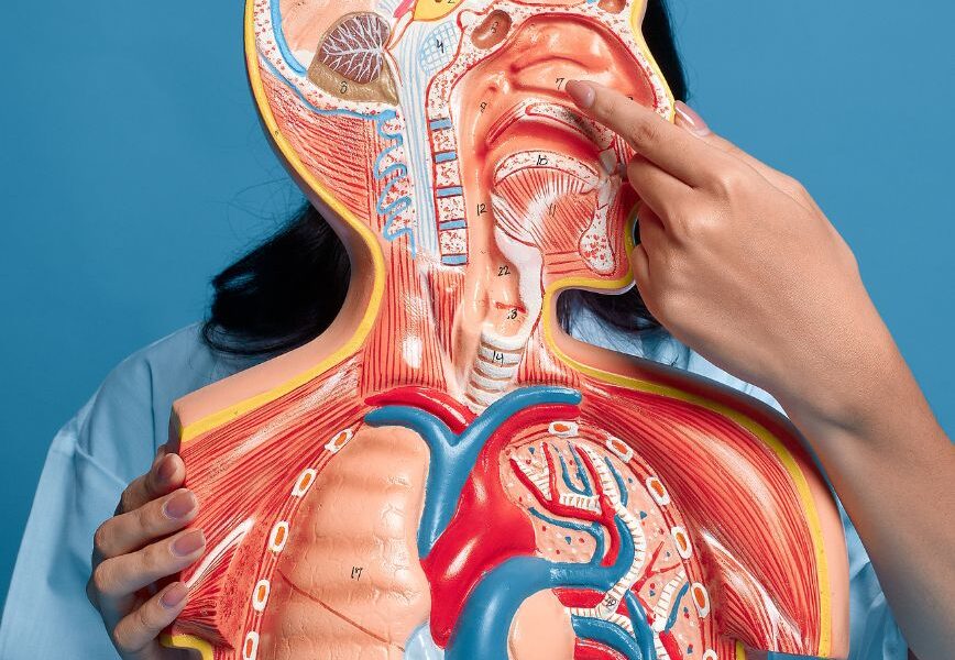 Signs That Your Nasal Structure May Be Affecting Your Breathing