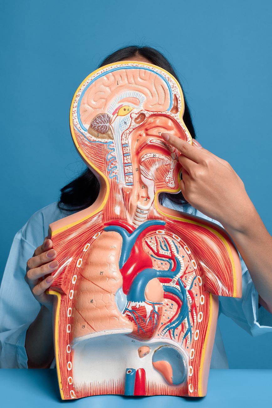 Signs That Your Nasal Structure May Be Affecting Your Breathing