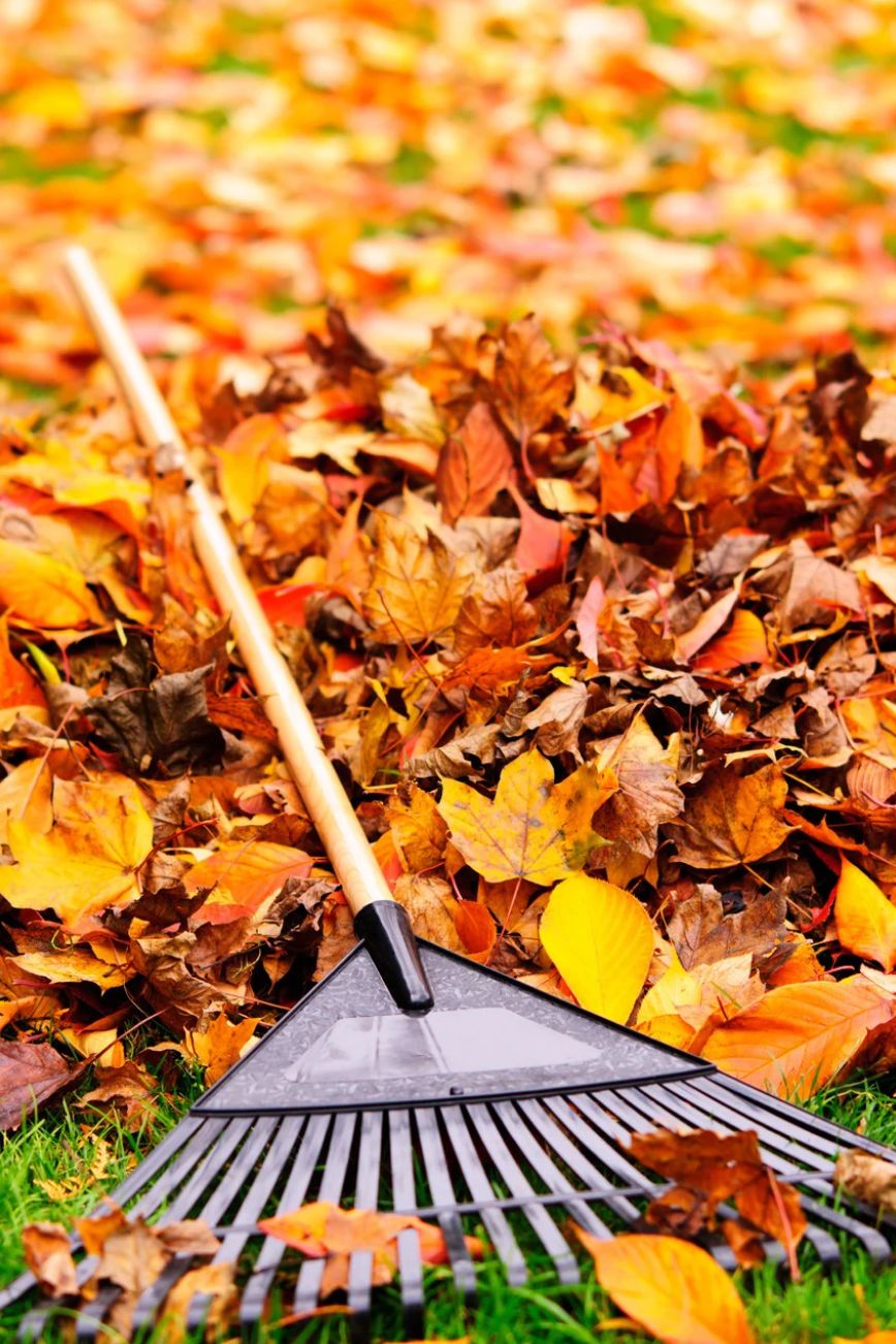 Fall Yard Cleaning Checklist_ 6 Essential Steps To Take